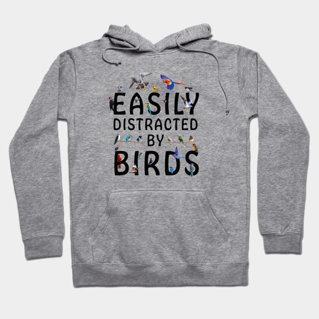 Easily Distracted By Birds Hoodie by sparkling-in-silence